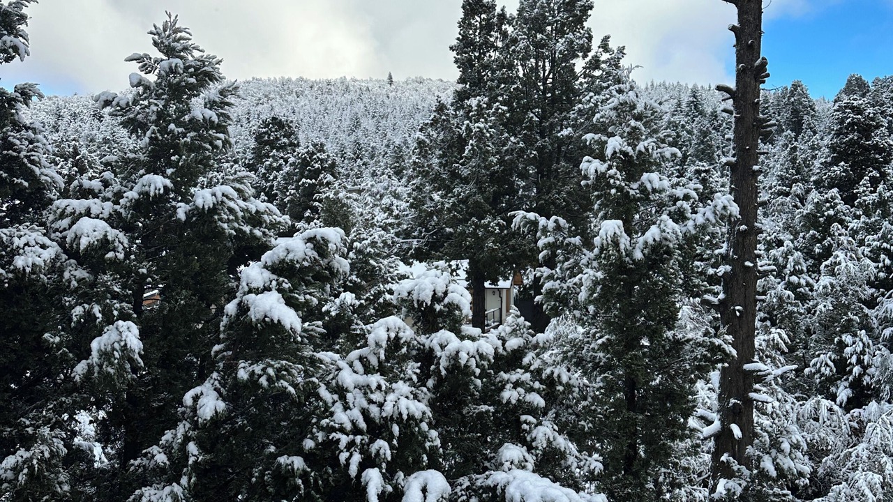 Photo of Patio Balcony in San Carlos de Bariloche
