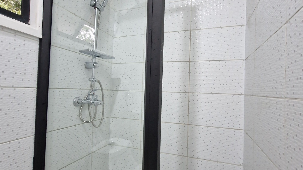 Photo of Bathroom in Villarrica