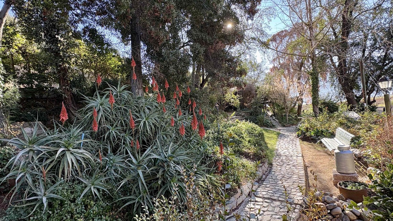 Photo of Outdoor in San Francisco de Mostazal
