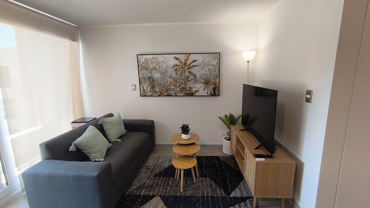 Photo of Livingroom in Downtown Santiago
