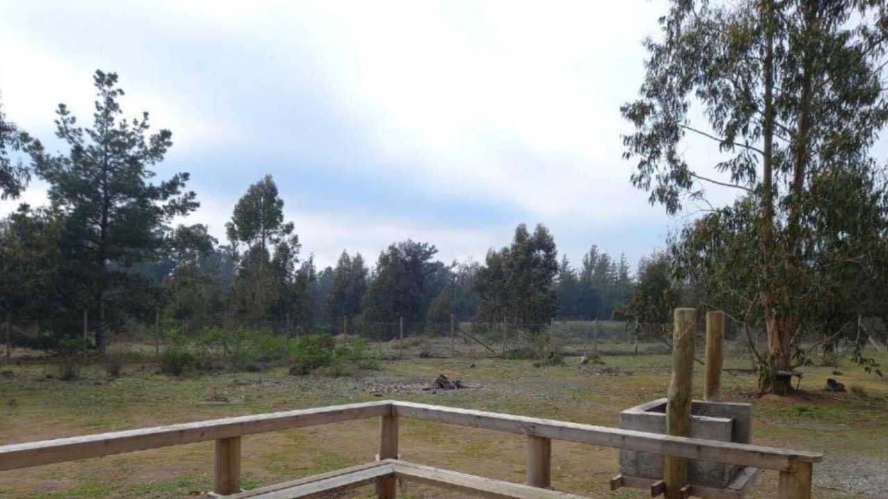 Photo of Outdoor in Yeco