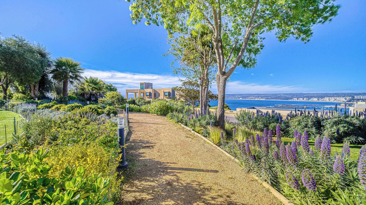 Photo of Outdoor in Algarrobo