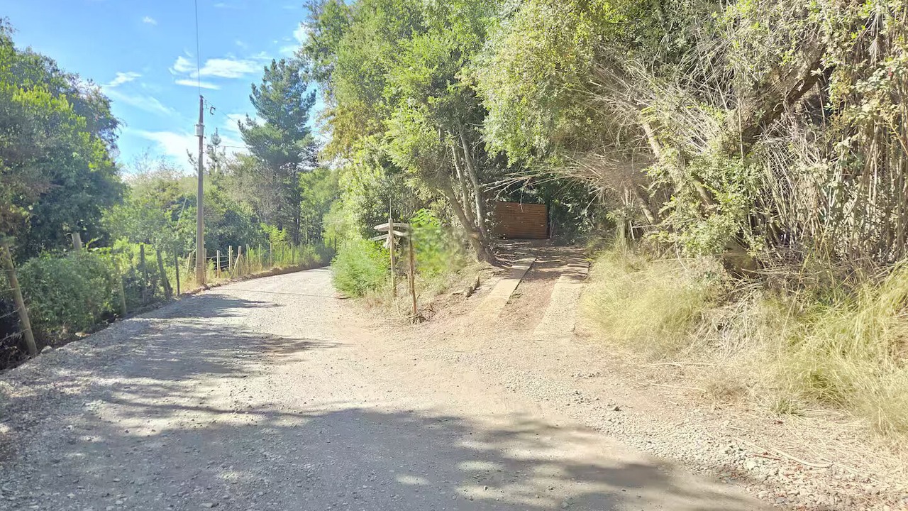 Photo of Others in Pinto