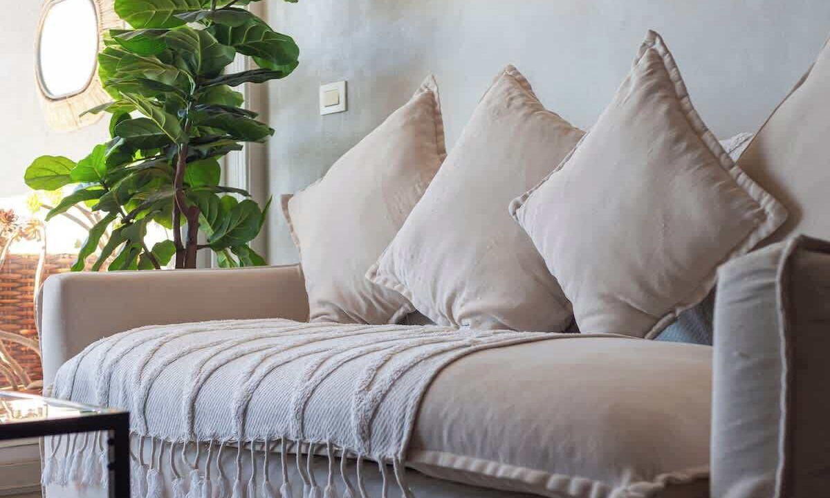 Photo of Bedroom in Concon