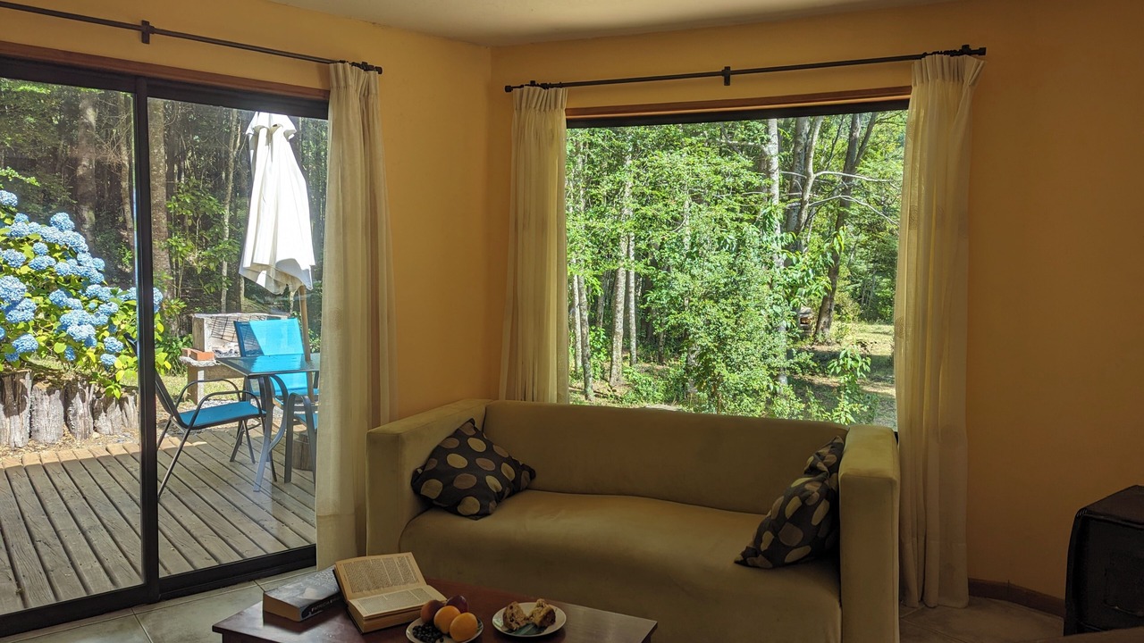 Photo of Livingroom in Pucon