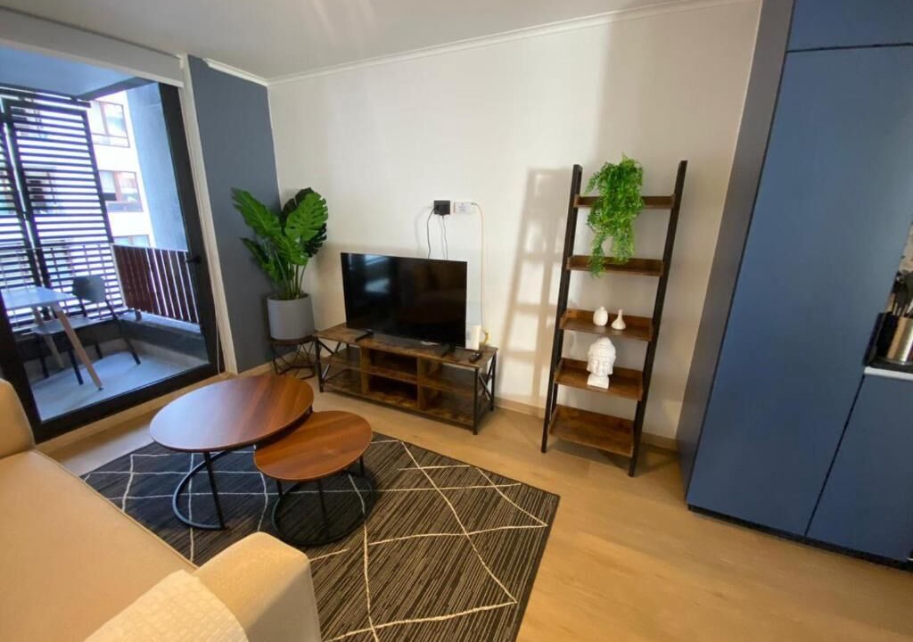 Photo of Livingroom in Apoquindo