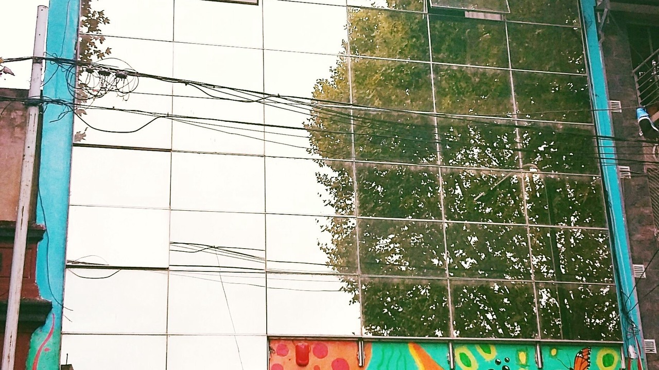 Photo of Outdoor in Chacarita