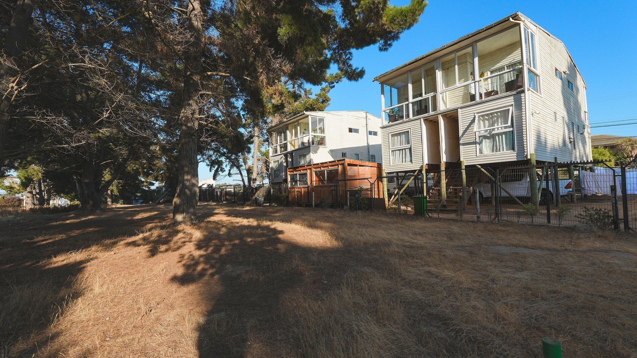 Photo of Others in Algarrobo