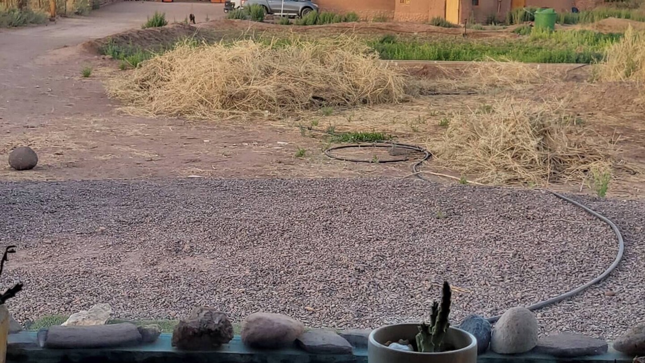 Photo of Others in San Pedro de Atacama