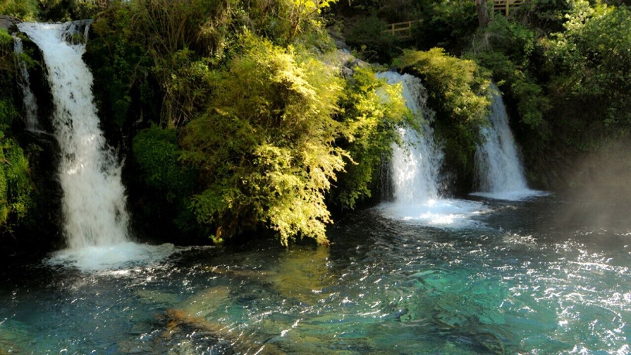 Photo of Others in Pucon