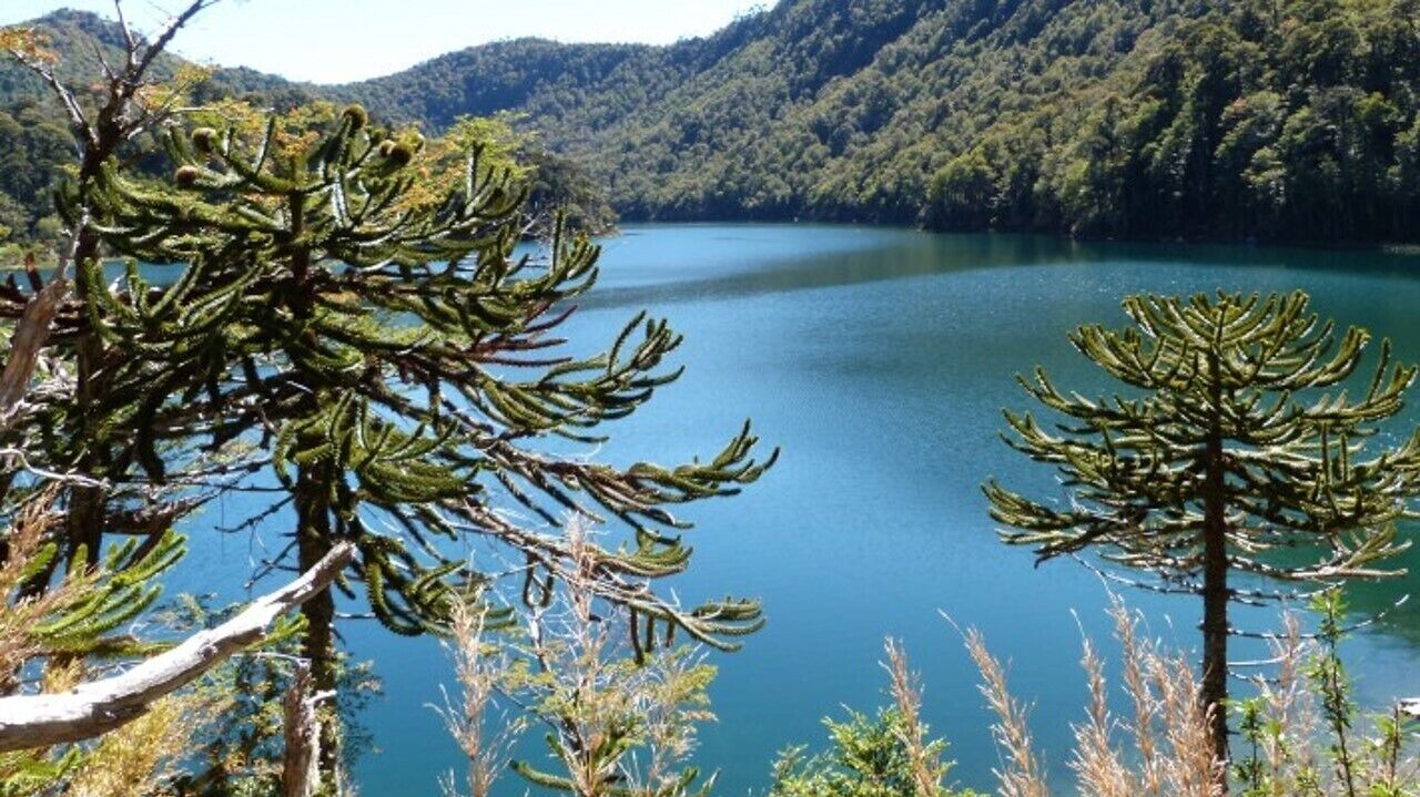 Photo of Others in Pucon