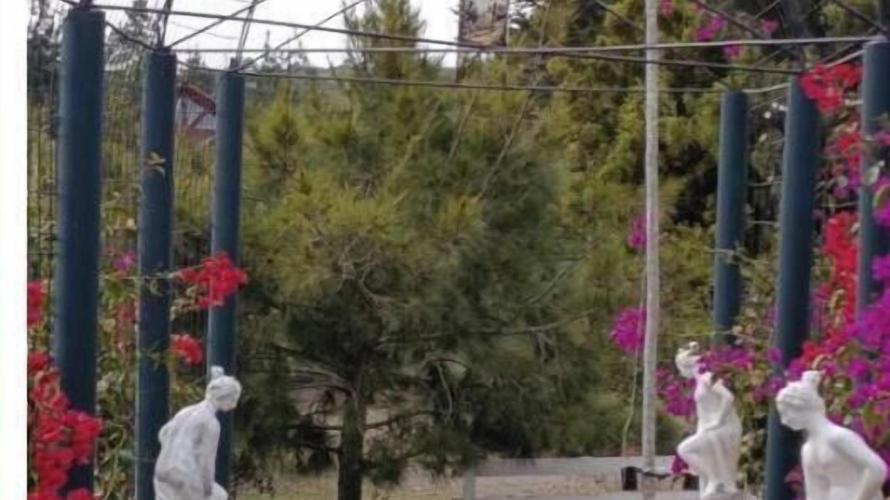Photo of Others in Algarrobo