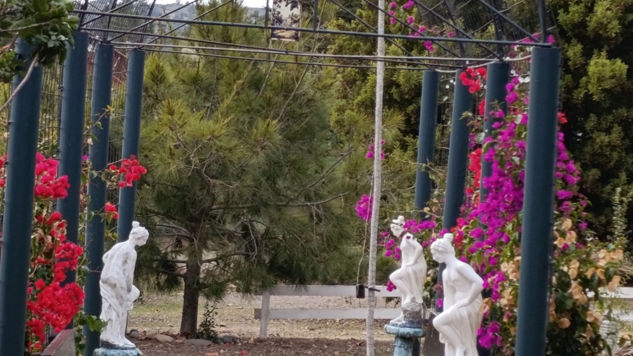 Photo of Outdoor in Algarrobo