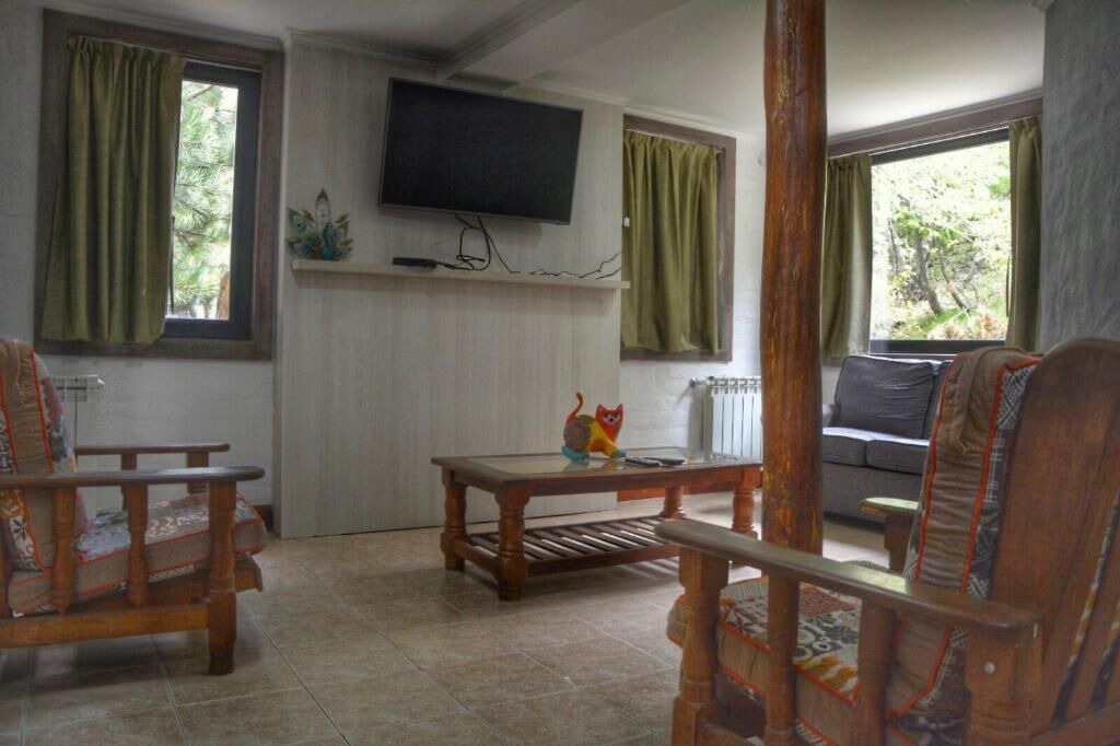 Photo of Livingroom in Villa Pehuenia