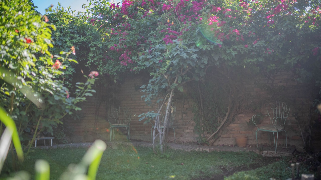 Photo of Outdoor in Godoy Cruz