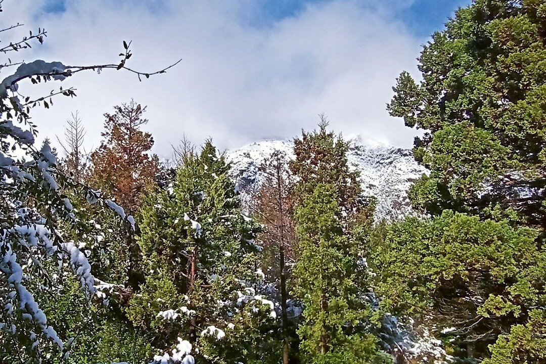 Photo of Outdoor in Villa Arelauquen