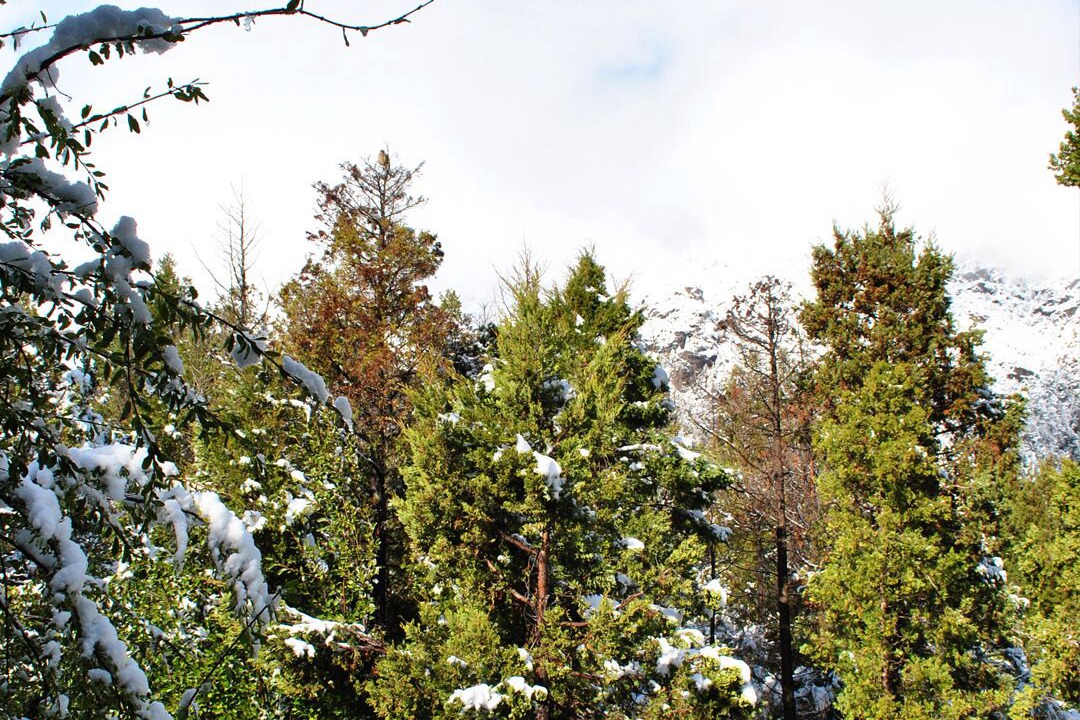 Photo of Outdoor in Villa Arelauquen