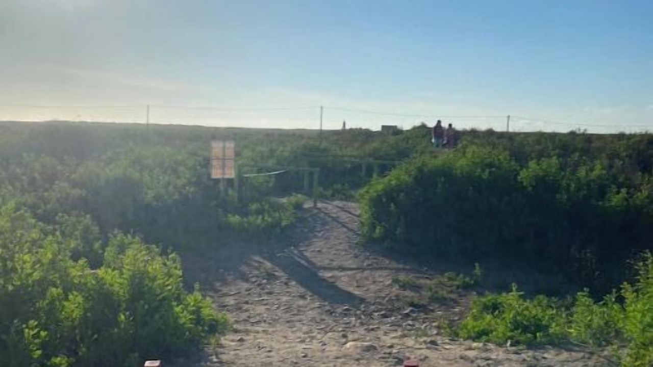 Photo of Others in La Serena