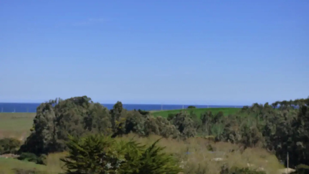 Photo of Others in Pichilemu