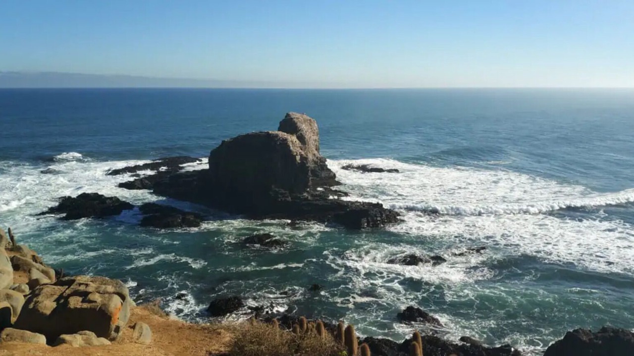 Photo of Others in Pichilemu