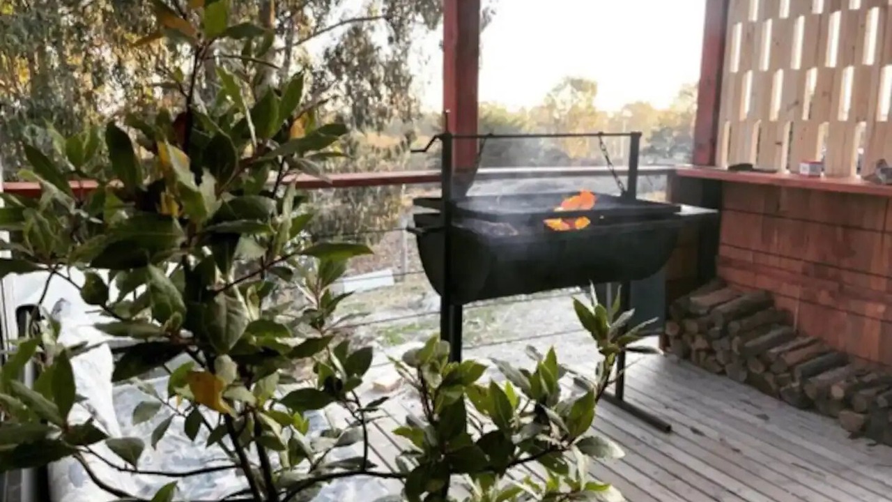 Photo of Outdoor in Pichilemu