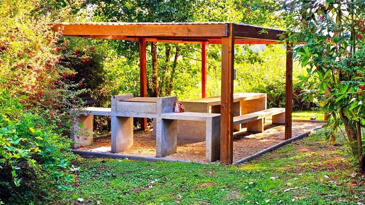 Photo of Outdoor in Valdivia