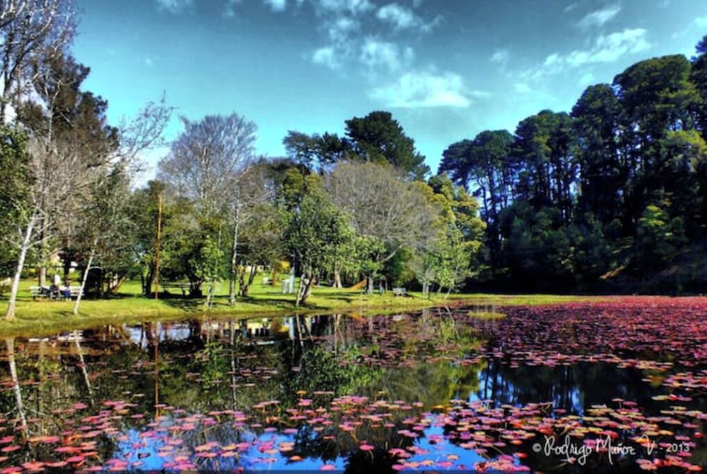 Photo of Outdoor in Valdivia