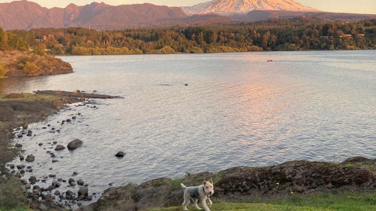 Photo of Outdoor in Pucon