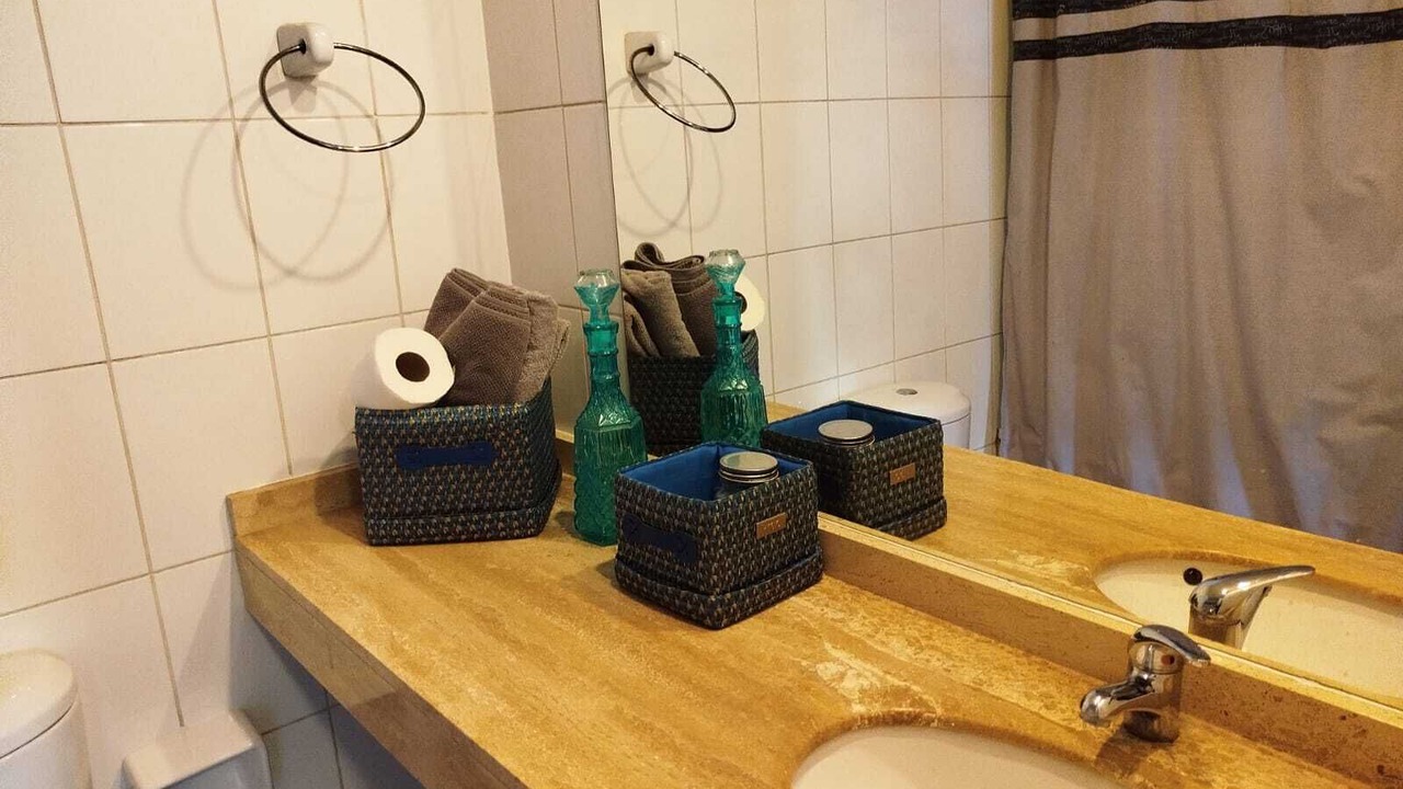 Photo of Bathroom in Bellas Artes