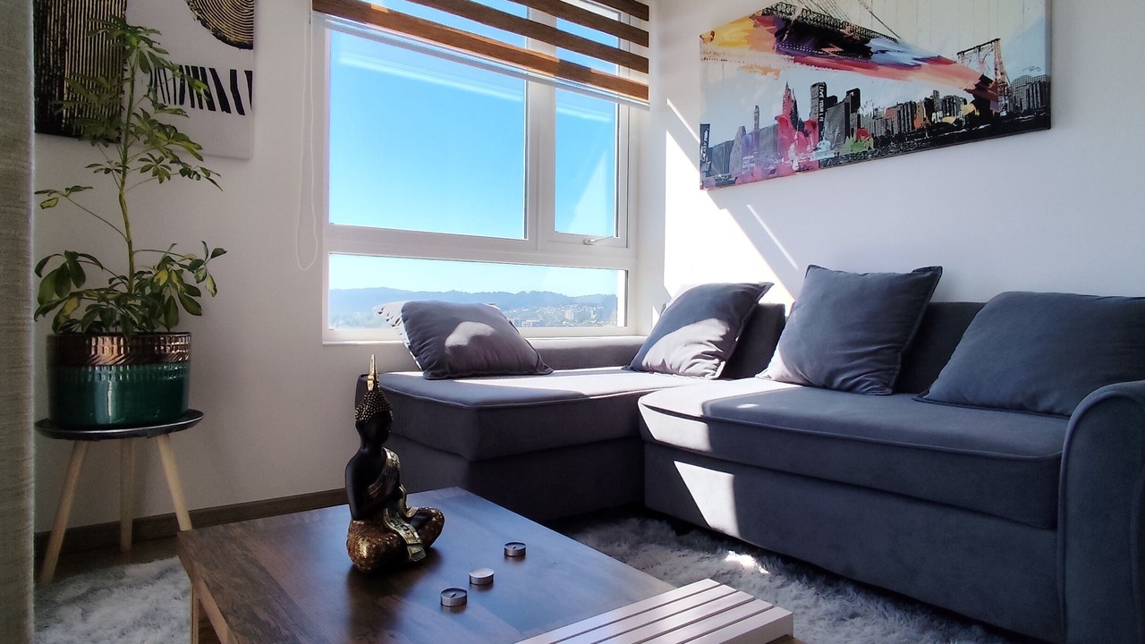 Photo of Livingroom in Concepcion