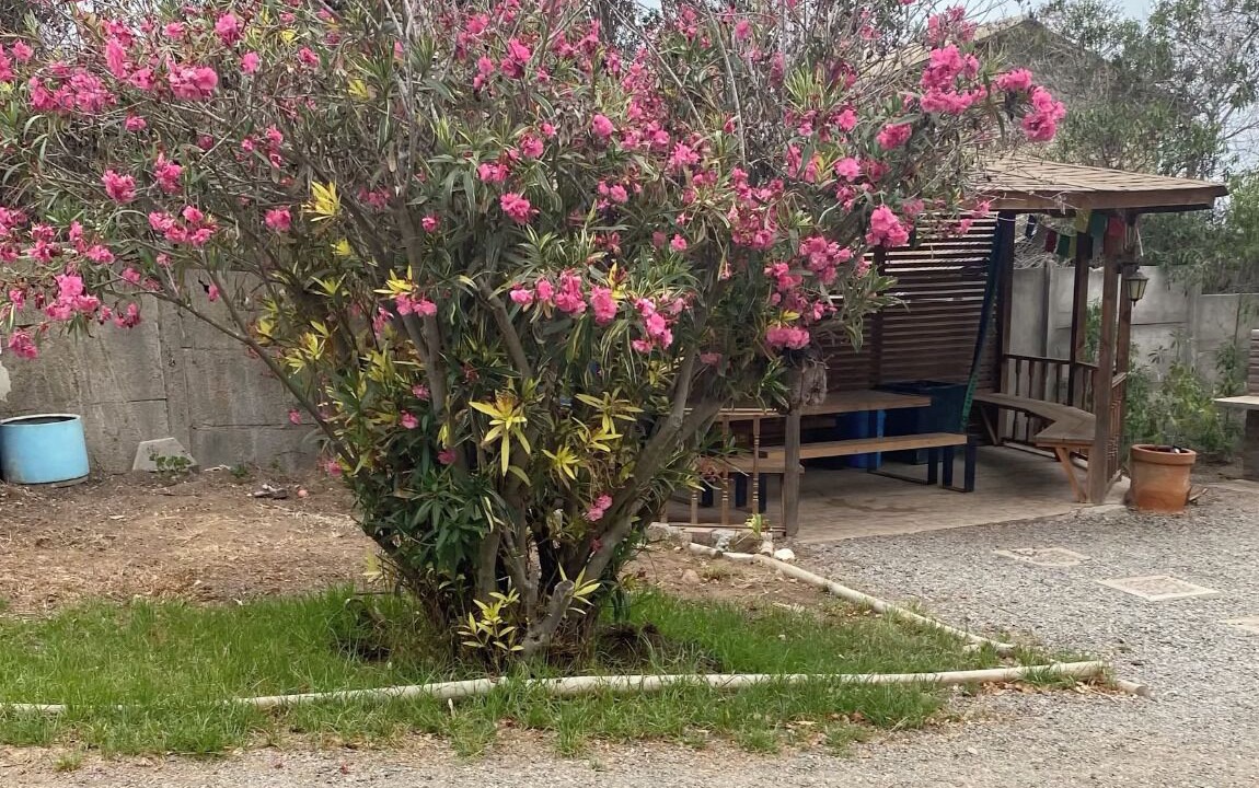 Photo of Patio Balcony in Coquimbo