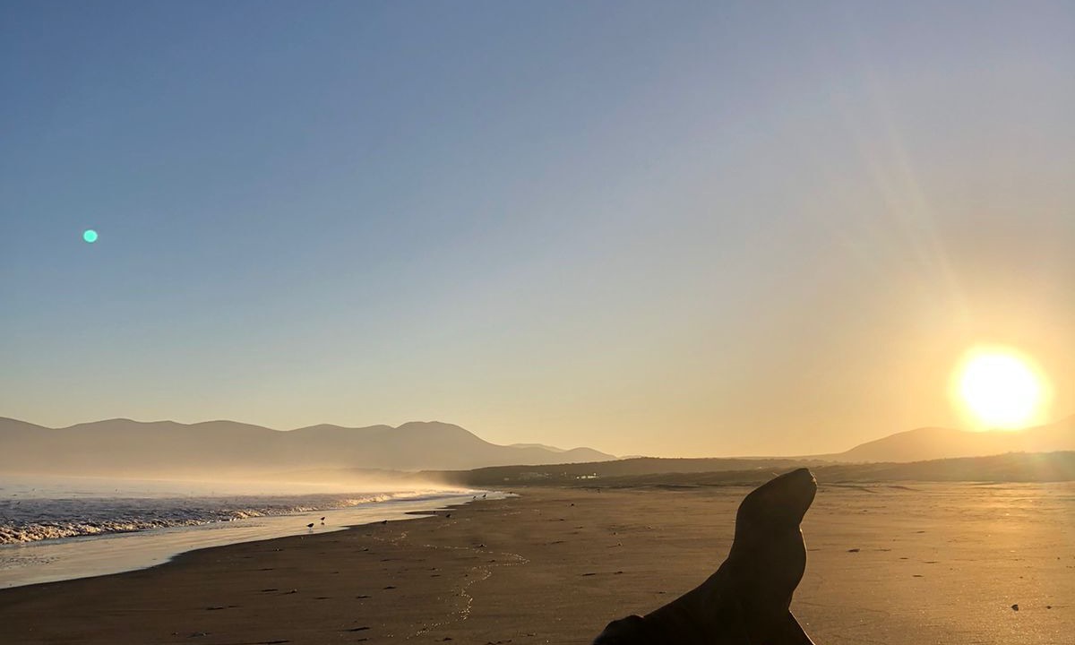 Photo of Others in Coquimbo