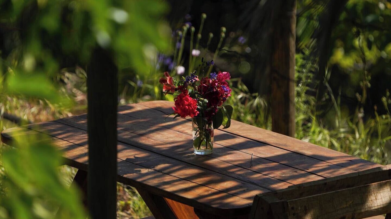 Photo of Outdoor in Olmue