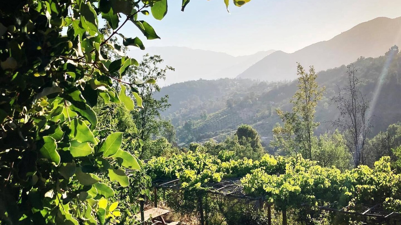 Photo of Outdoor in Olmue
