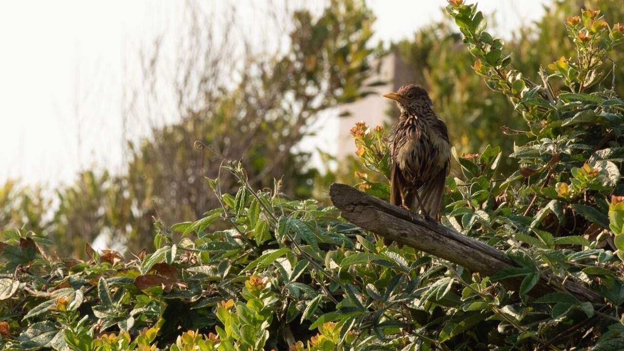 Photo of Outdoor in Casablanca