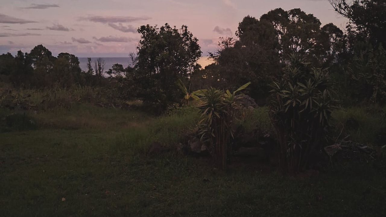 Photo of Others in Hanga Roa