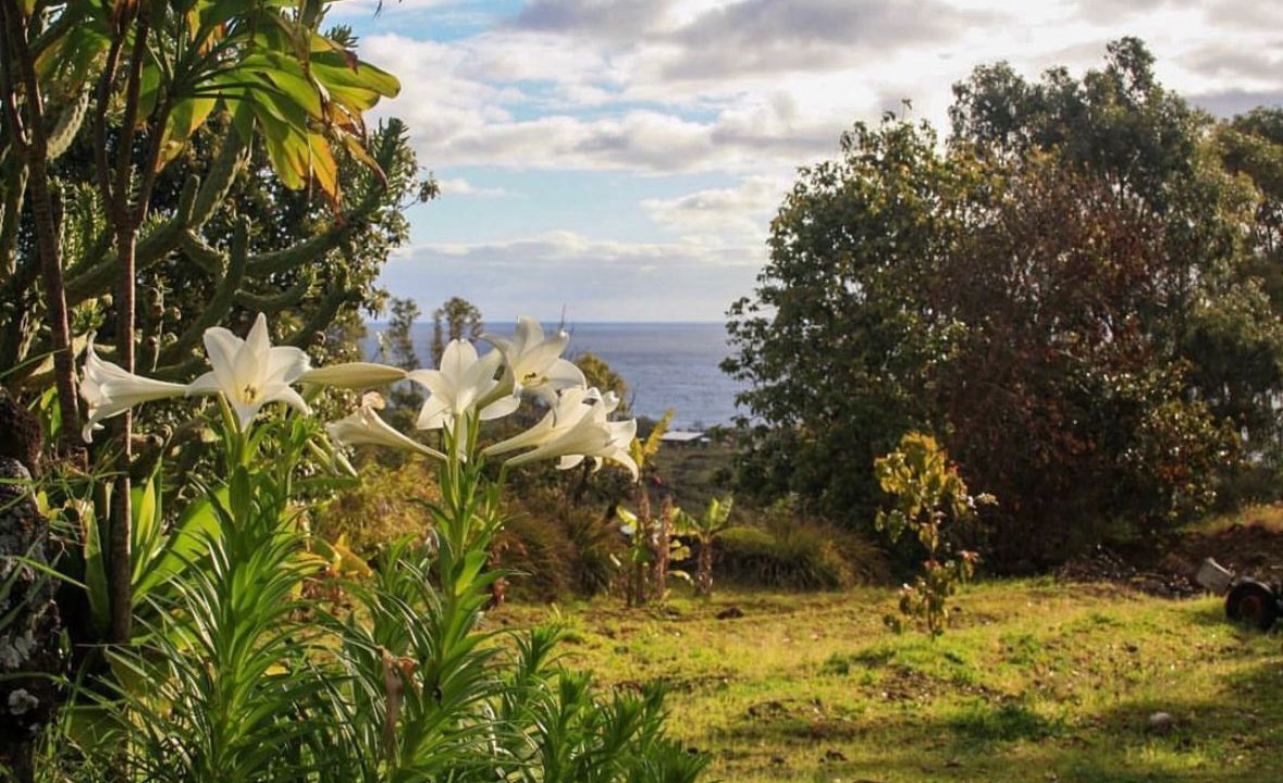 Photo of Outdoor in Hanga Roa