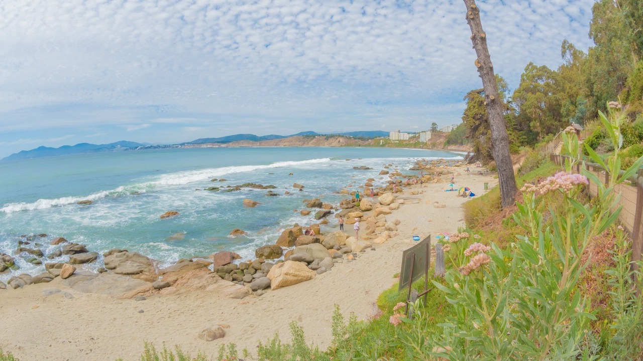 Photo of Others in Caleta Horcon