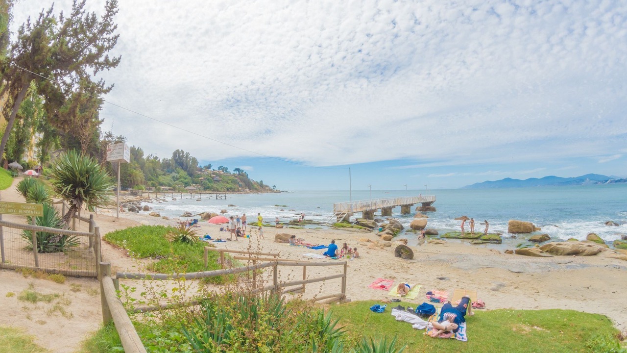 Photo of Others in Caleta Horcon