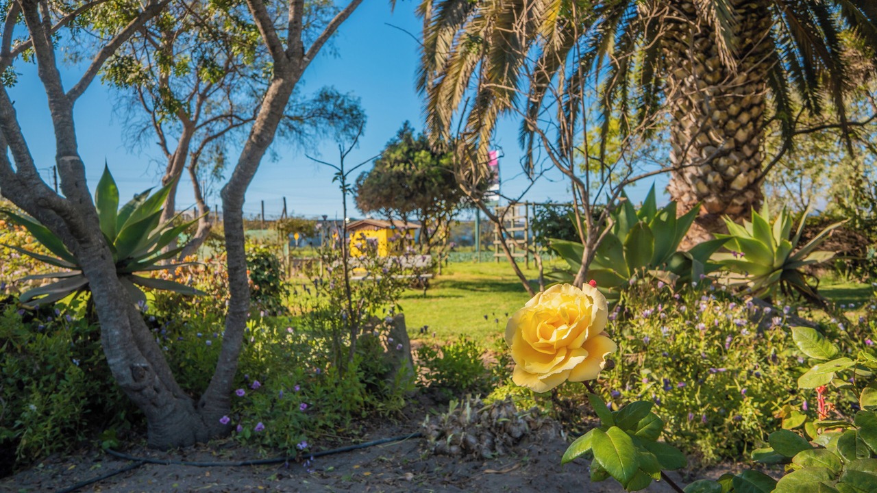 Photo of Outdoor in La Serena
