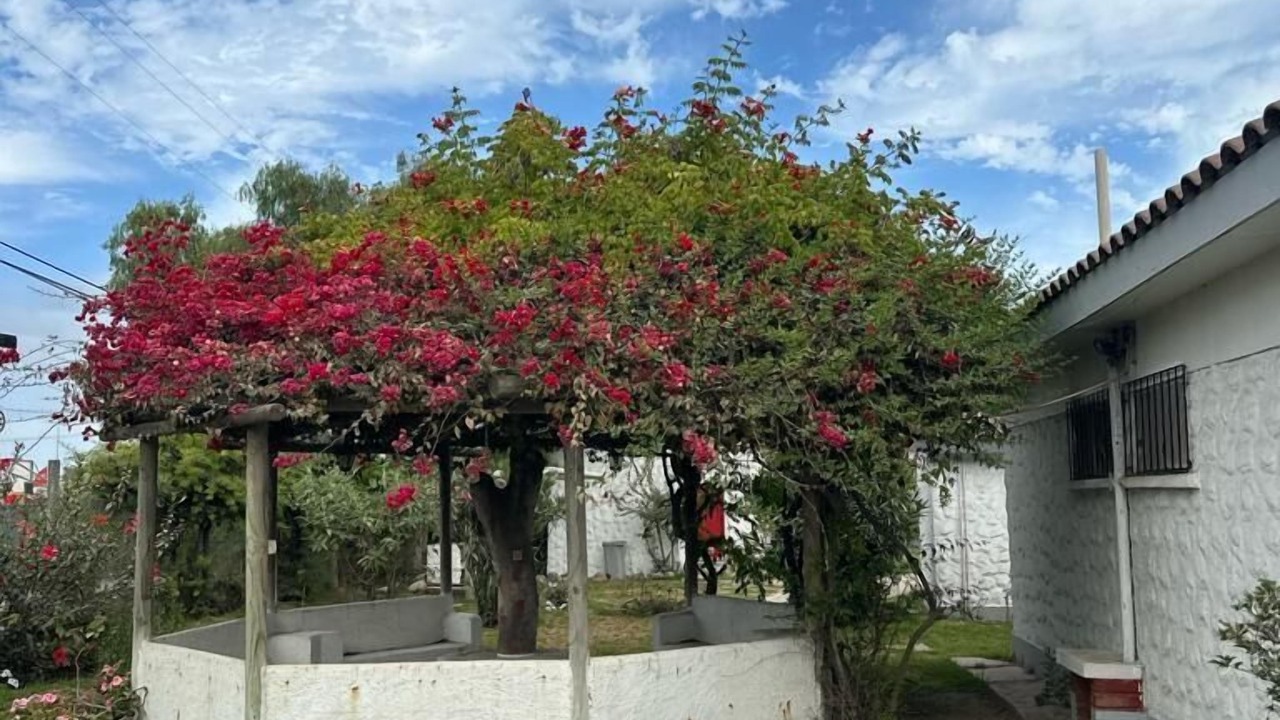 Photo of Outdoor in La Serena