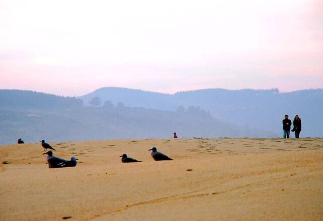 Photo of Others in Algarrobo