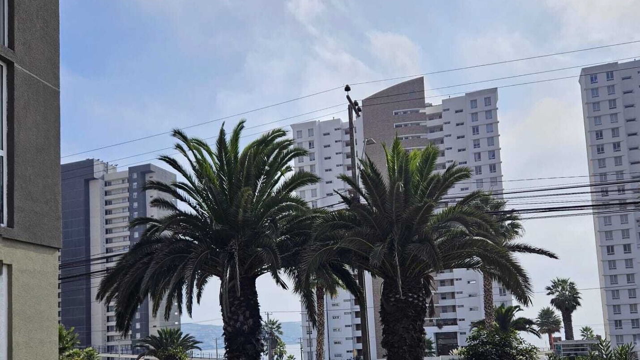 Photo of Outdoor in La Herradura