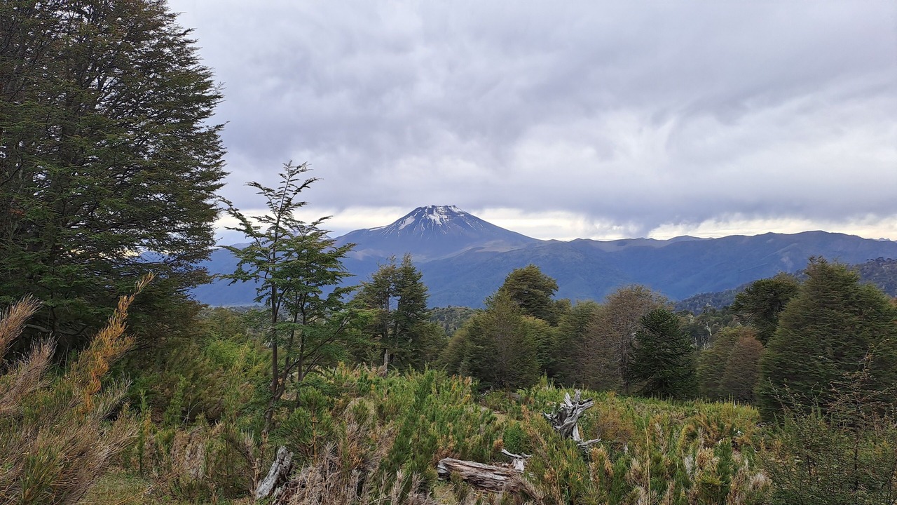 Photo of Outdoor in Victoria