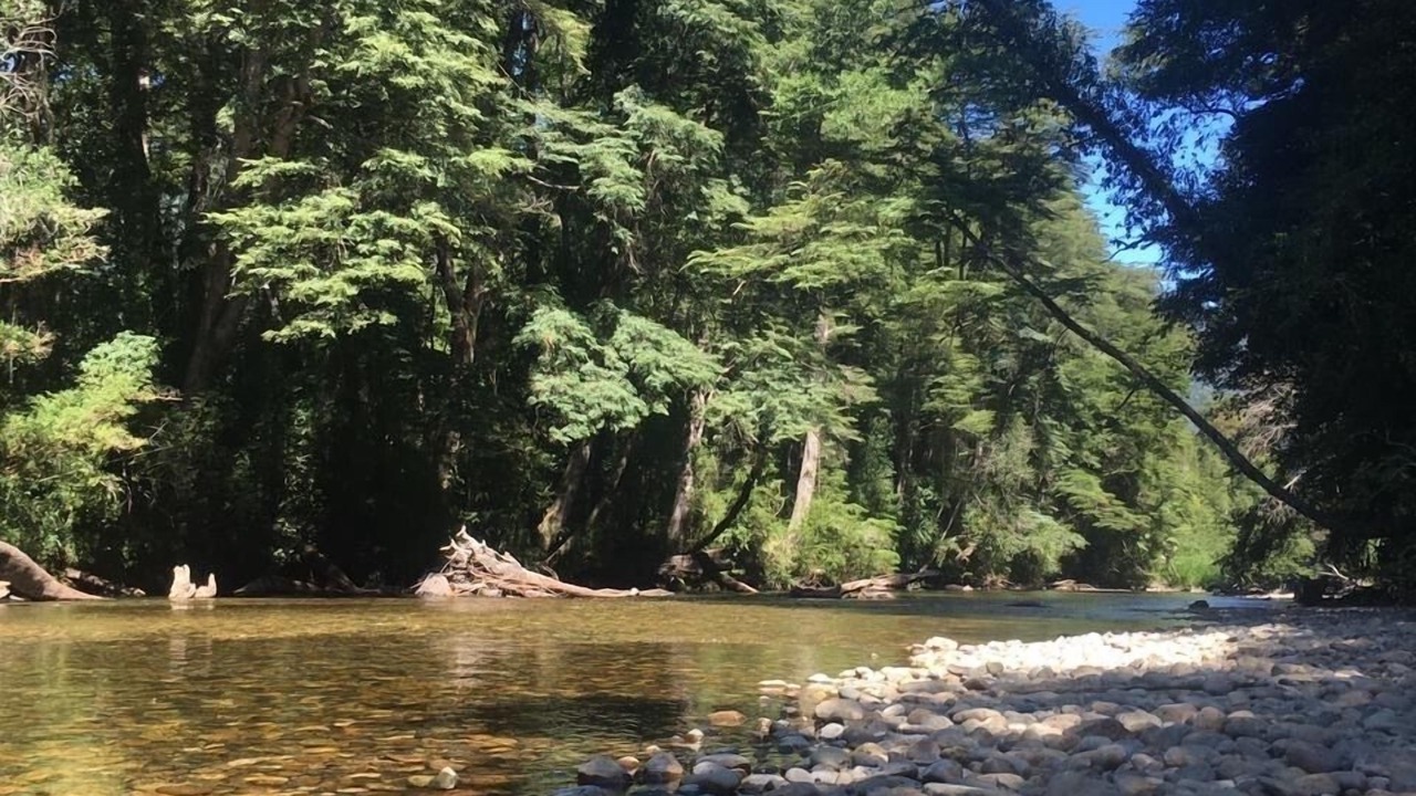 Photo of Others in Pucon