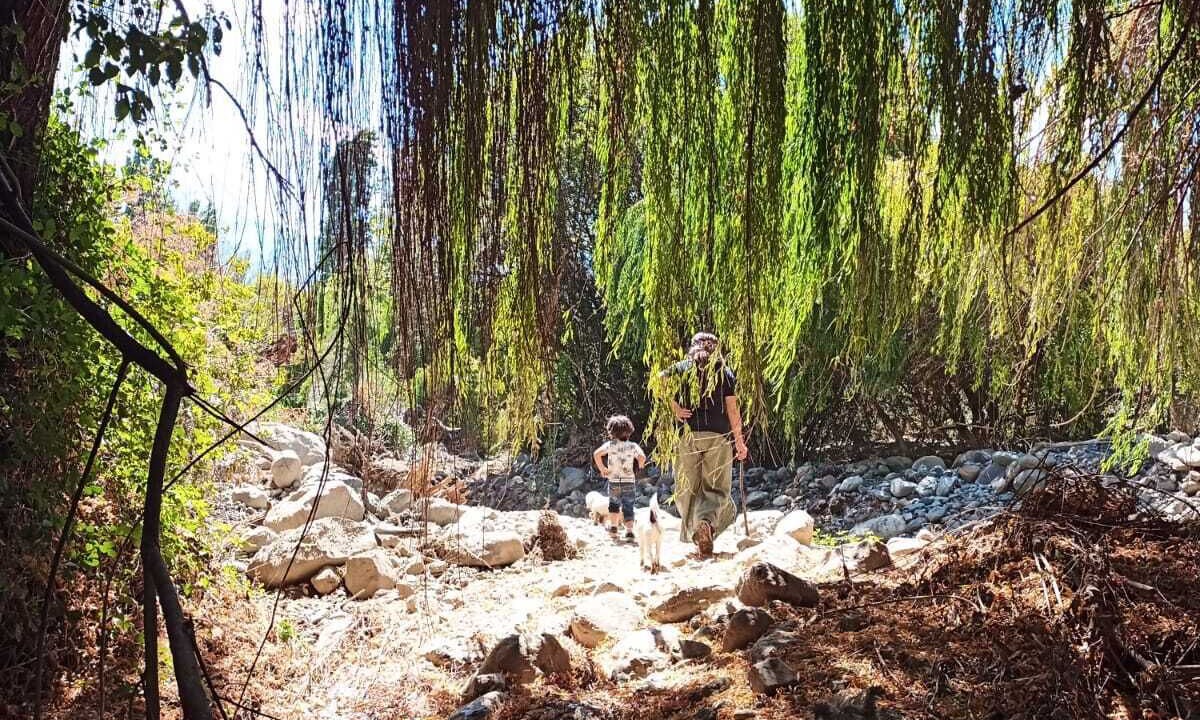 Photo of Outdoor in San Esteban