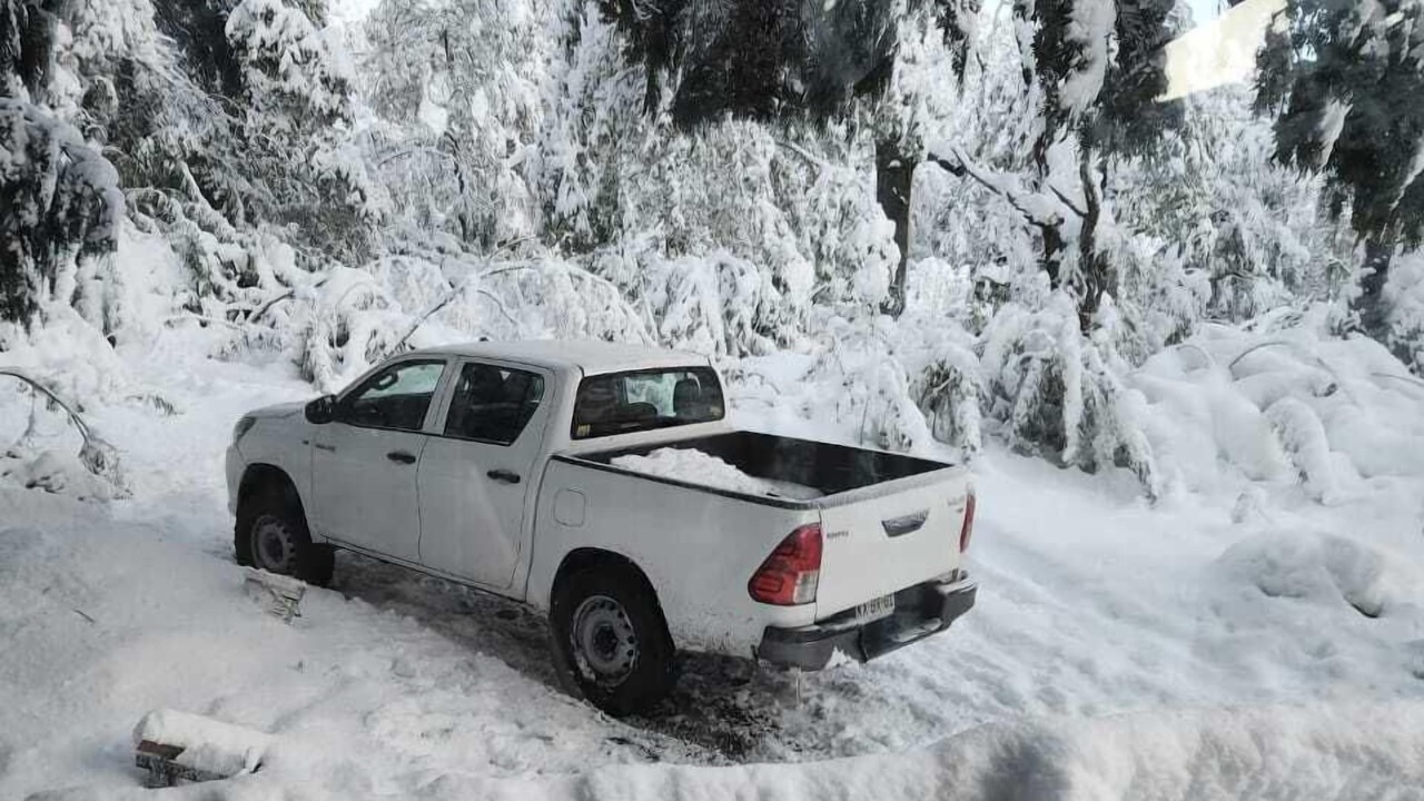 Photo of Outdoor in Malalcahuello