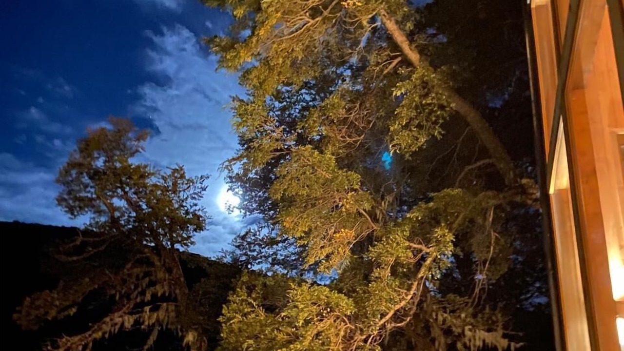 Photo of Outdoor in Malalcahuello