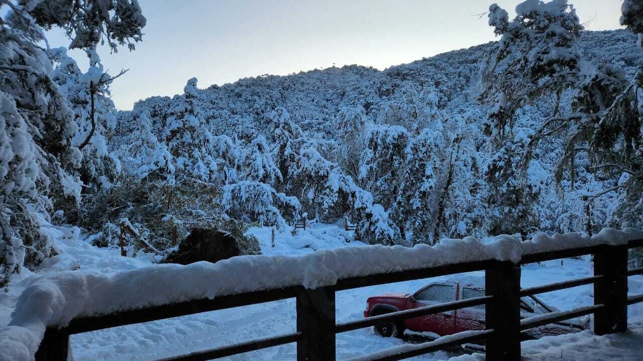 Photo of Outdoor in Malalcahuello