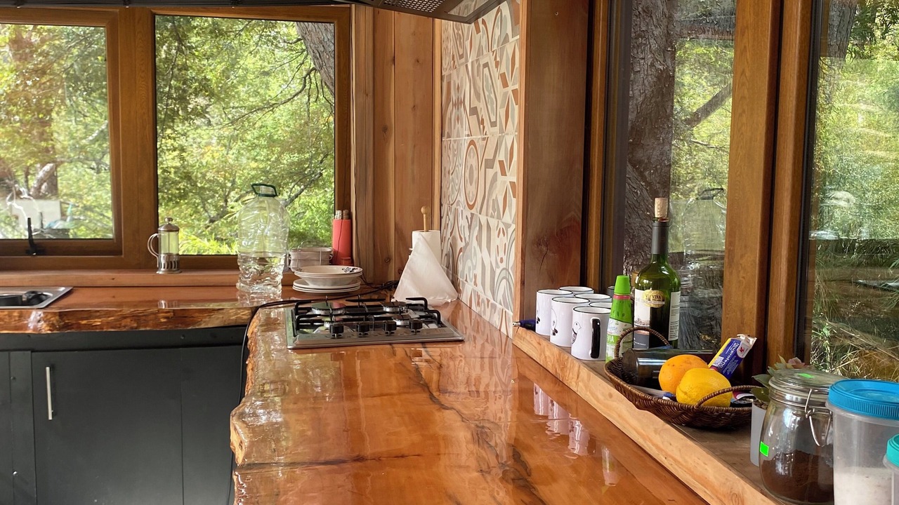 Photo of Kitchen in Malalcahuello